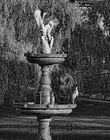 Swan Fountain on the Mall