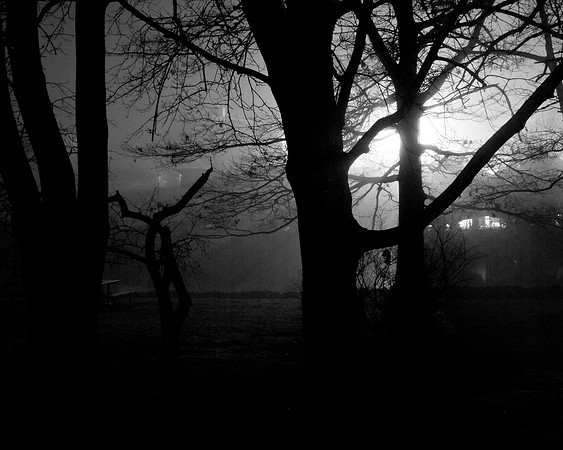Foggy Night on the River