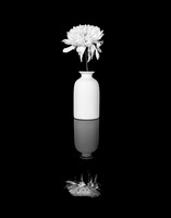 Floating Vase